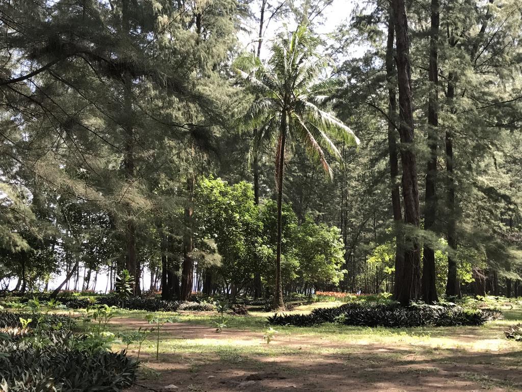 Coconut Bungalow Nai Yang Beach Dış mekan fotoğraf